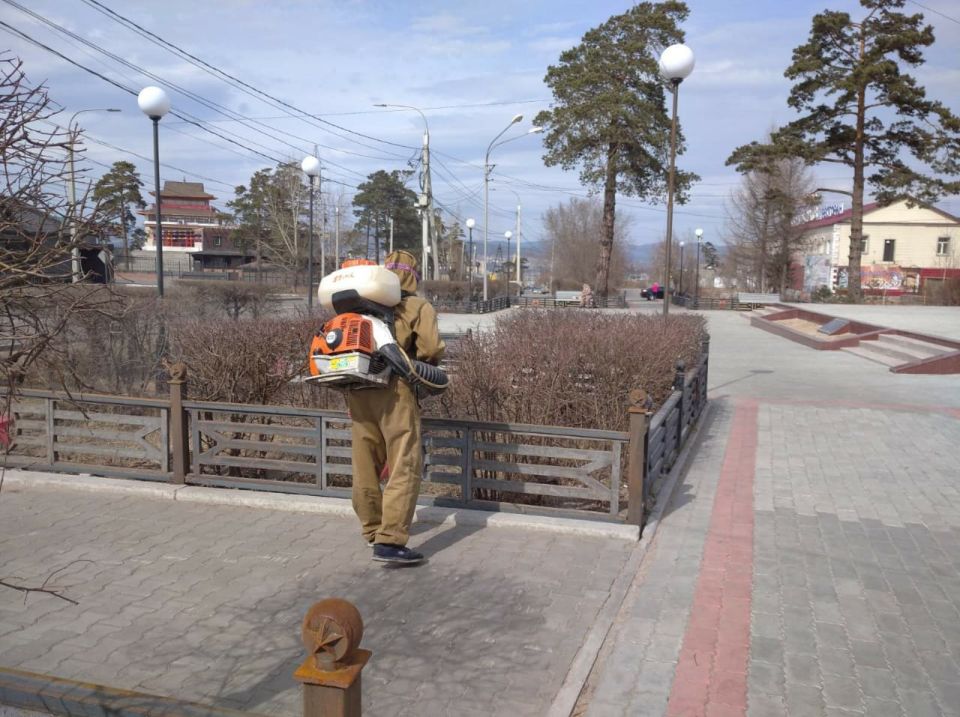 Противоклещевая обработка общественных территорий Улан-Удэ начнется с 6 апреля