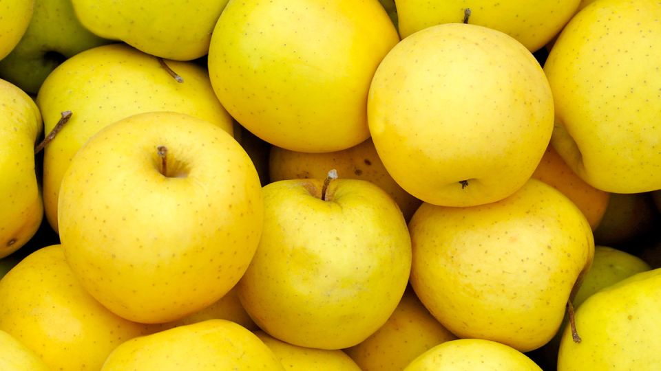 ������, ������� �� �������: ��������� � �����������