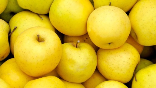 ������, ������� �� �������: ��������� � �����������