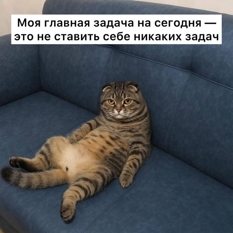 ���������� �������, ������� ������ �������!