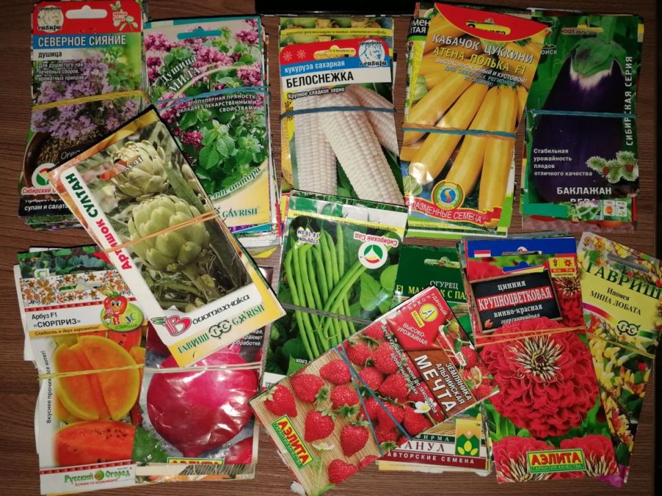 �������: ���������� ����, ������� �������� � ������