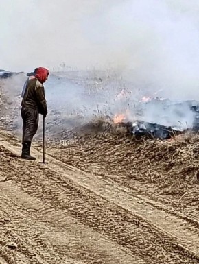 ������ ����� �������� � ���������� ������