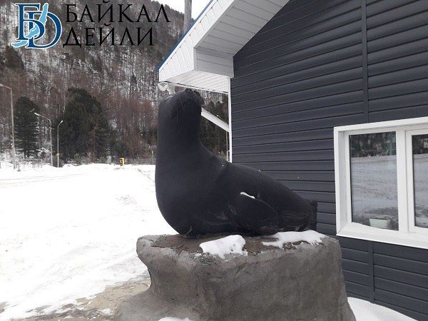 ��������� ����� ���� ���� ����� ������� ������������ ������ ��� ����� ����