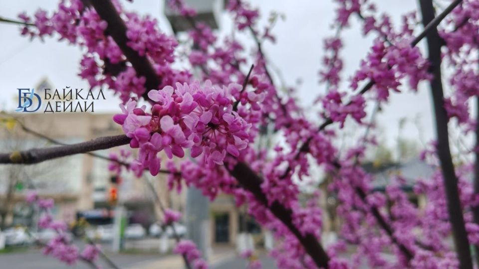 +16: ����� ������ � ������� �������� � ����������