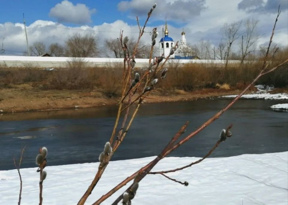 Сегодня православные христиане всего мира отмечают Вербное воскресенье