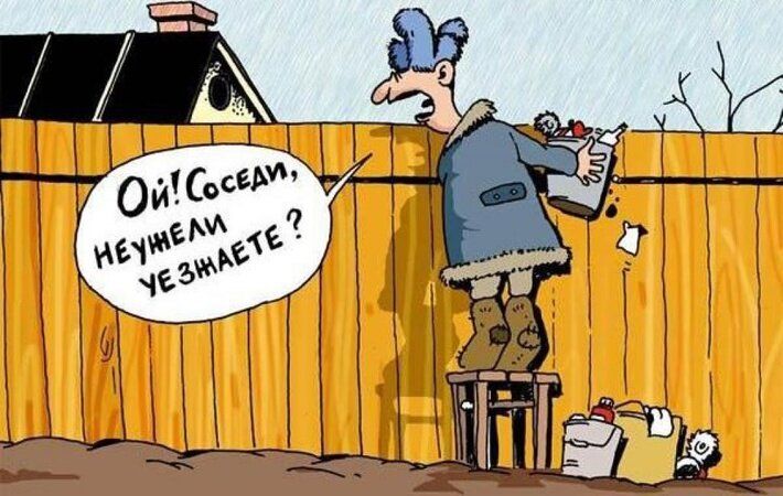 Гадя на загородном участке: как сосед превращает жизнь в испытание