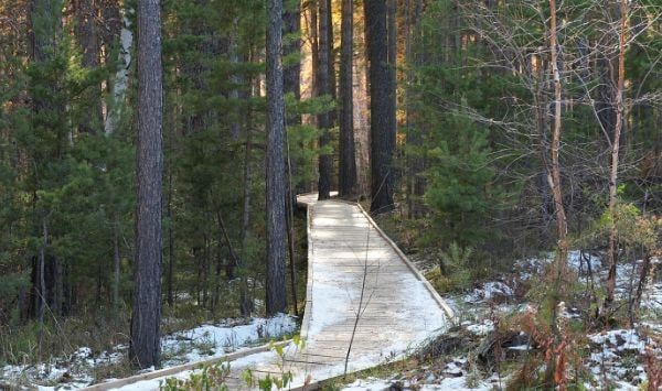 «Тропа здоровья» в Улан-Удэ набирает всё больше популярности