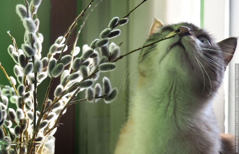 Доброе утро!. В Бурятии сегодня холодно