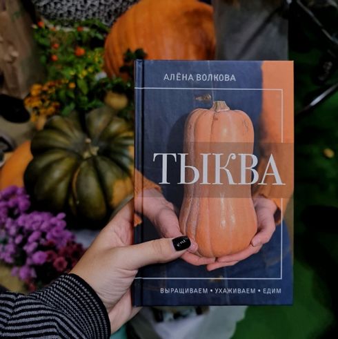 Сбор и хранение тыквы: практическое руководство