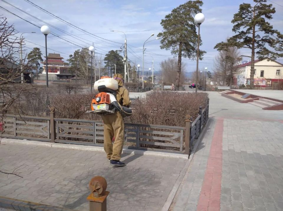 Противоклещевая обработка началась в Улан-Удэ