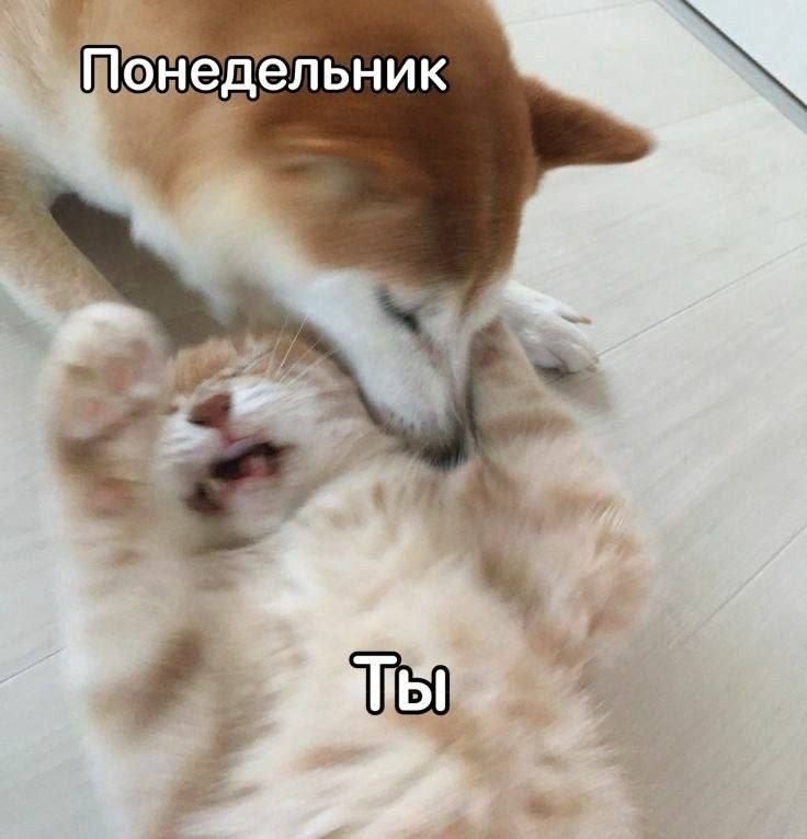 Доброе утро! Пытаемся зарядиться на новую рабочую неделю)