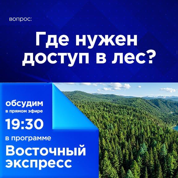 Где нужен доступ в лес?. Противопожарный режим действует в Бурятии с прошлой недели