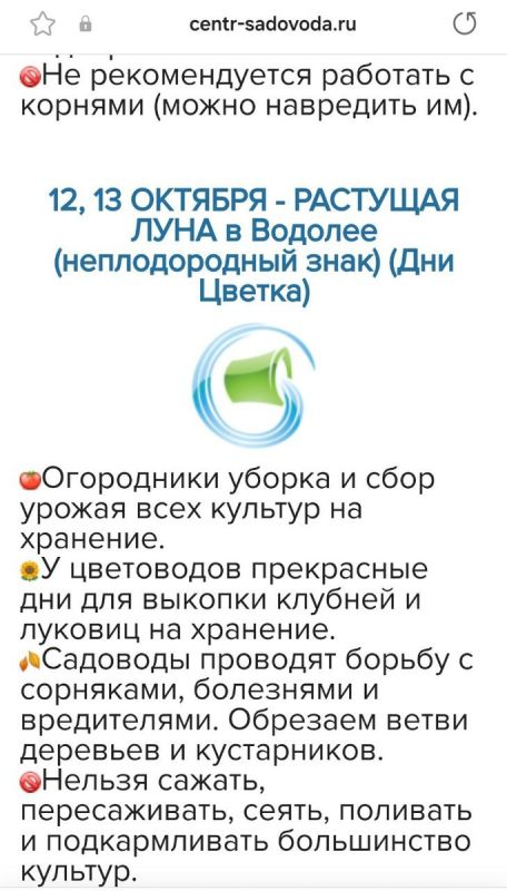 Как дачники отдыхают и работают осенью