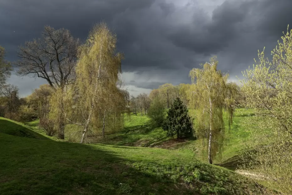 Ученые предупреждают о последствиях строительства на природных территориях