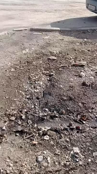 Сообщите о проблемах с мусором