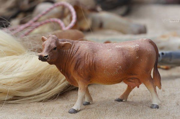 В Бурятии произошёл массовый падёж скота
