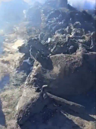 В Бурятии объяснили сжигание трупов коров вблизи улуса Барун-Хасурта