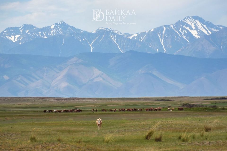 Эксперты ошарашили жителей Бурятии размером сельских зарплат