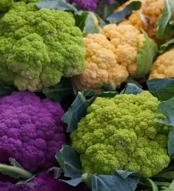 Цветная капуста: секреты успешного выращивания и распространенные ошибки