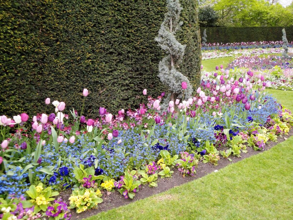 ��������� ������� ����������: ��� ������� ����� �������� �������