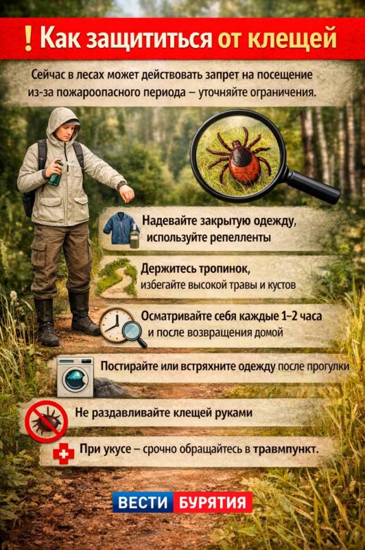 Как защититься от клещей. Надевайте закрытую одежду, используйте репелленты