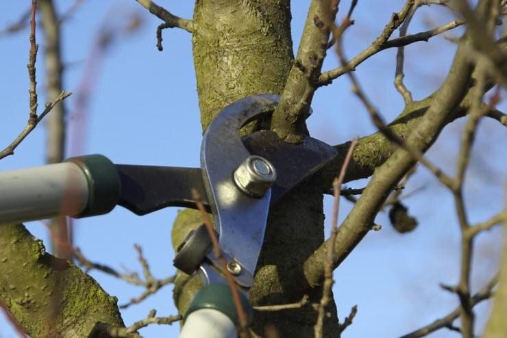 ������� �������� ������� �������� � ����������� �� ��������