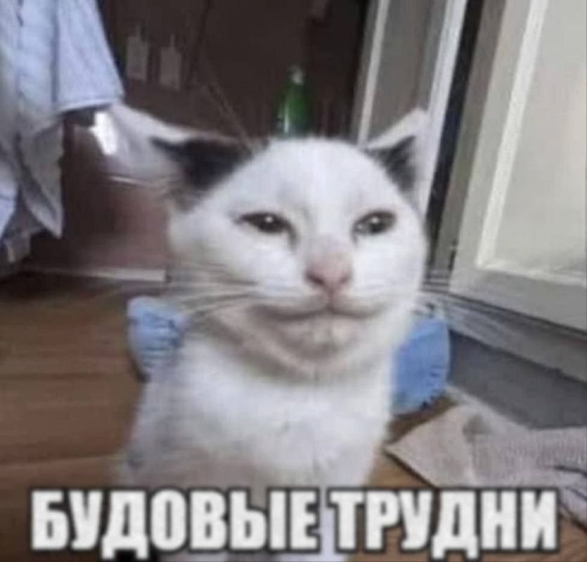 ������ ����!. � ������� ������� ���� � �� +14 �������� � �������, 9 ������, � ���������� ������� ��������� ����� � ����, � ��� ����� � ������