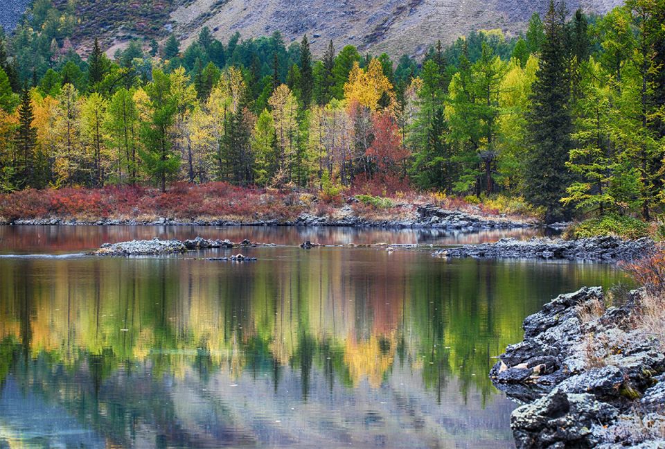 � ������� ������������� ���� ������� �� ������� � ���������