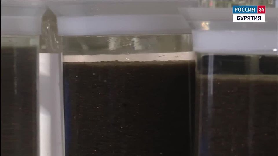 �� ��������������� ���������� ������ ������� �������������� ���� ������������ �����