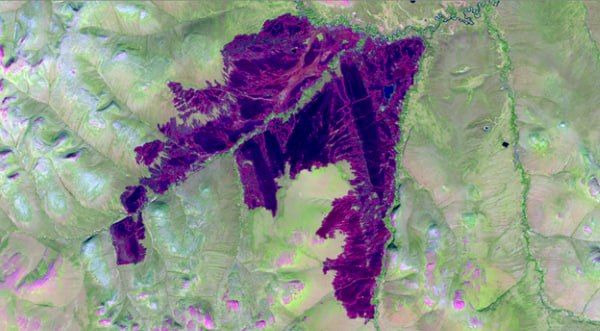 В Бурятии из космоса просмотрят более 3 миллионов гектаров леса