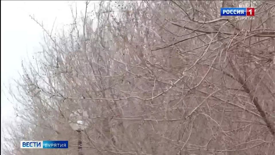 ������� ���������� ����� ��������� �� ������� �������