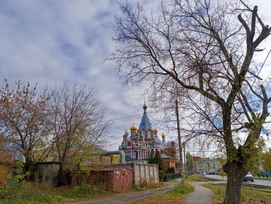 Осенние заботы на даче: как не упустить время для посадки чеснока