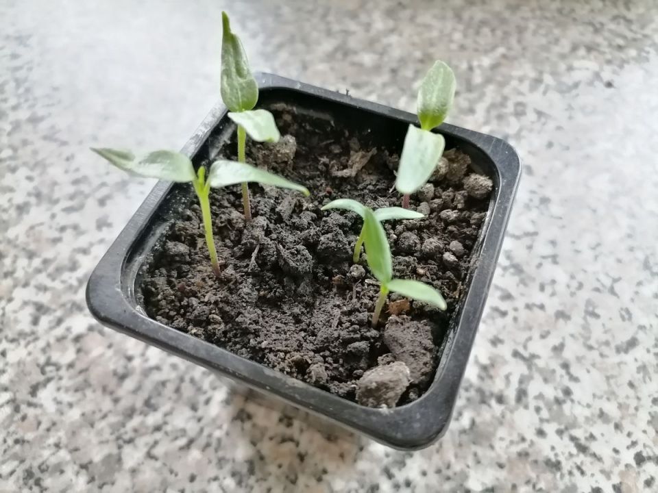 ����� ������� ������: ���������������� ������ � ������