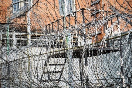 Уроженец Сирии, продававший в Бурятии краснокнижных соколов, сядет на семь лет