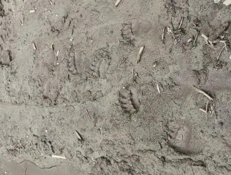 ����� �� ������: � ���������� �������� ������� ���������� �������� �������