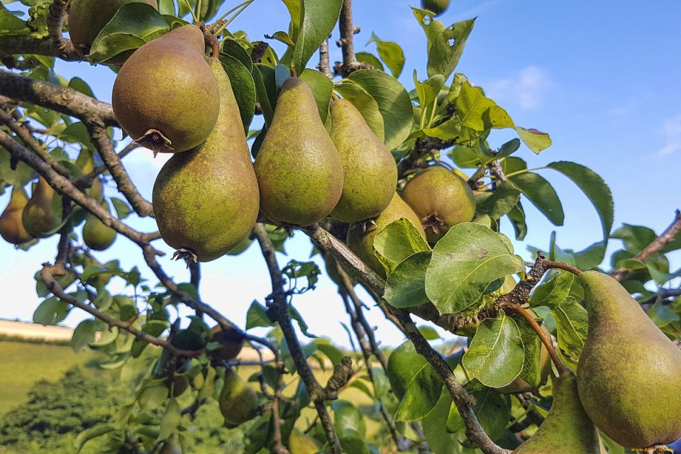 ����� � ������ ������: ������ �� ����� ��� ���������� ������