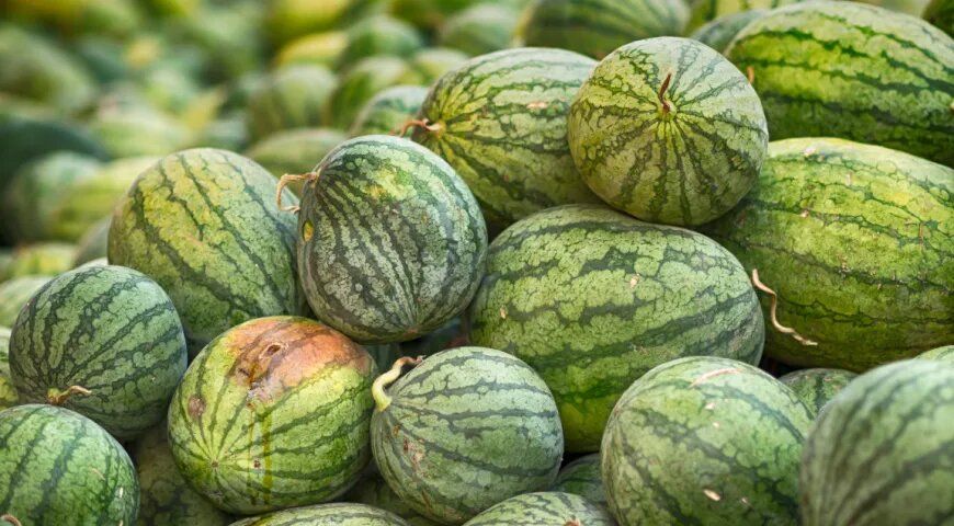 ��� ������� ���������� �����: ������, ������� ������ ���� ��������