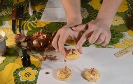 ����� ��������� ����� ������ � �����������: ������ �� ���������� ������� � �������