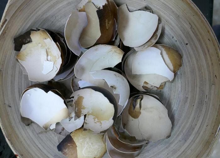 ������ ��������: ������� ��������� ��� ����� ��������