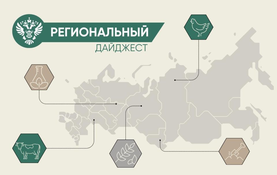 � ����� ���������� ������� ������������ � ������������ ����������������� � ��������