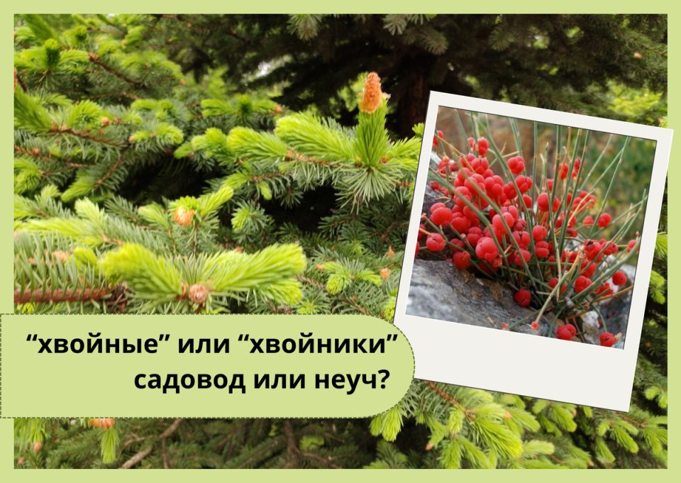 ������� ��� ��������: � ��� ������� � ������ ��� ����� �����