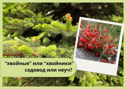 ������� ��� ��������: � ��� ������� � ������ ��� ����� �����