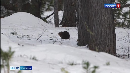 На полевой базе Давша создадут уникальный музейно-просветительский центр
