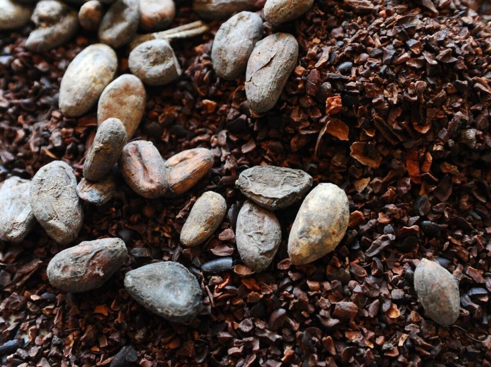 ���� �� �����-���� �������� �������: ��� ��� ��������� �� �����?