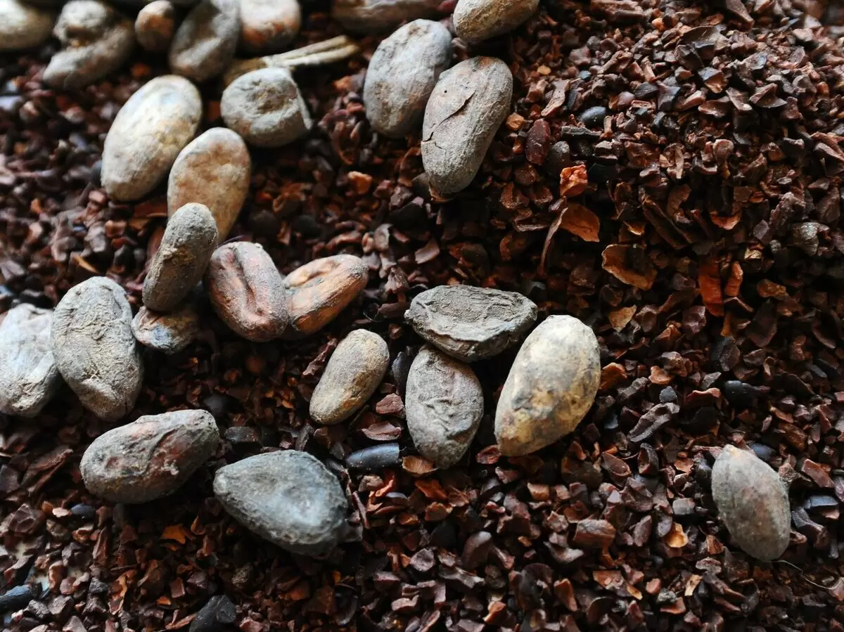 Цены на какао-бобы обнулили рекорды: как это отразится на рынке?