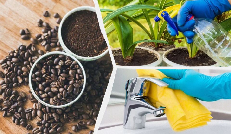 �������� ����: 7 ����������� �������� �� ������������� ��� ���� � ����