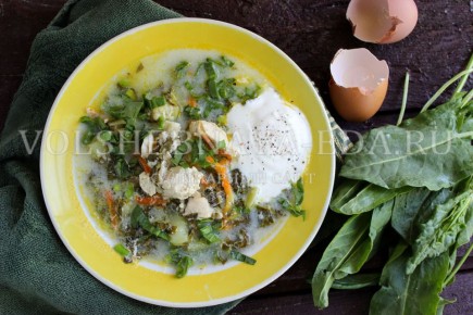 Всем знакомый щавелевый суп вновь на пике моды