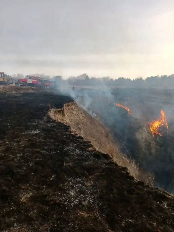 ������� ������ ����� �� ���� � �������������� ������