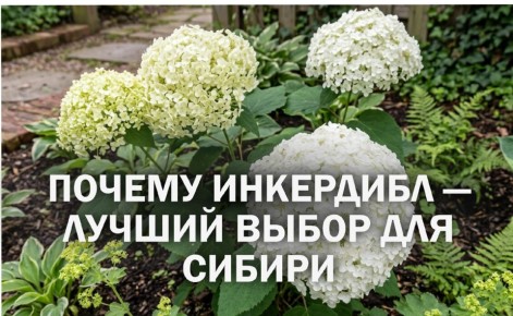 ��������� ����������: �������� ����� ��� �������� ������� ����� � ������