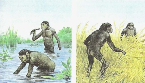 Как водное происхождение человека создает риск для жизни: неочевидные причины утопления